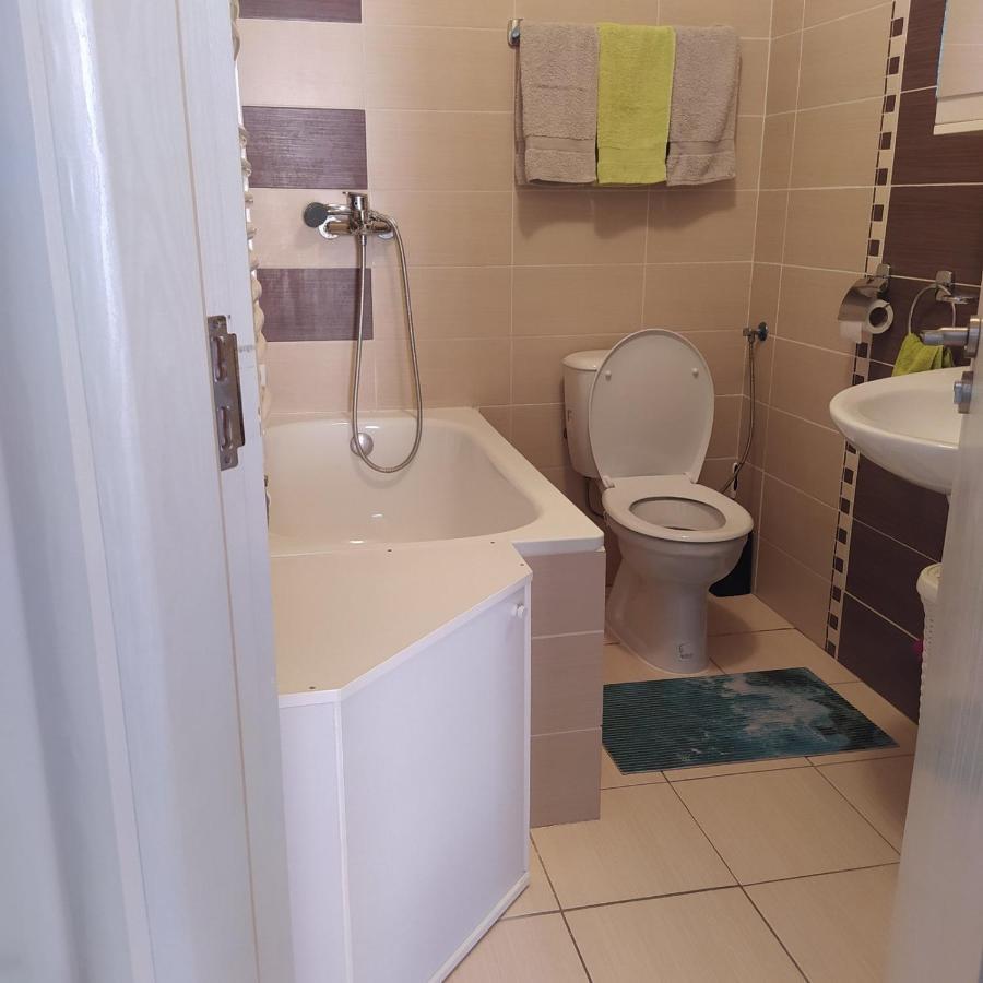 Daniris Apartman โนวีซาด ภายนอก รูปภาพ